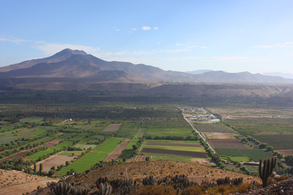 美好初春，讓我們喝一杯優(yōu)雅精致的黑皮諾