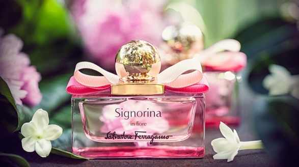 不負(fù)韶華，只為赴一場春日之約