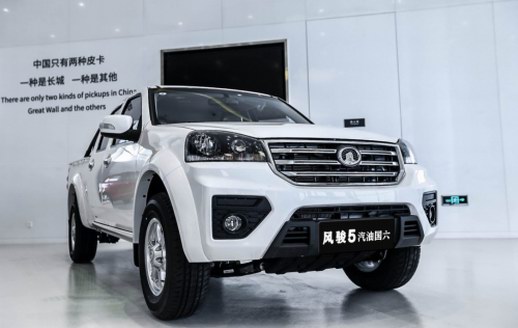 長城皮卡“民生車”助力脫貧攻堅戰(zhàn)