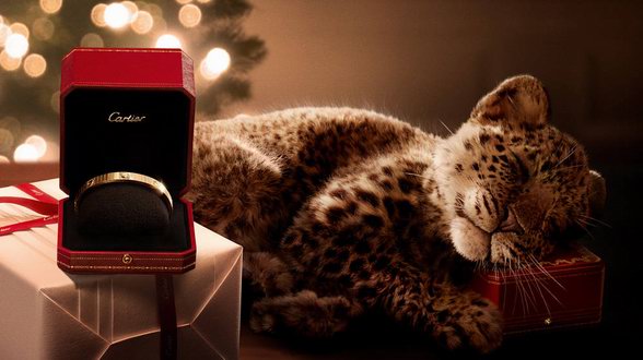 卡地亞(Cartier)呈獻(xiàn)全新節(jié)日季廣告大片